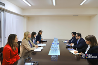ՀՀ ԱԳ նախարարի տեղակալ Ռոբերտ Աբիսողոմոնյանի հանդիպումը ՄԱԿ Կանանց և աղջիկների նկատմամբ խտրականության հարցերով աշխատանքային խմբի հետ